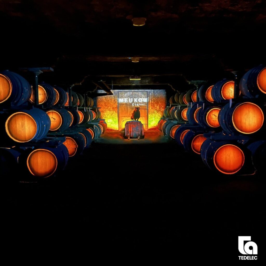 Lumière sur l’histoire du cognac Meukow